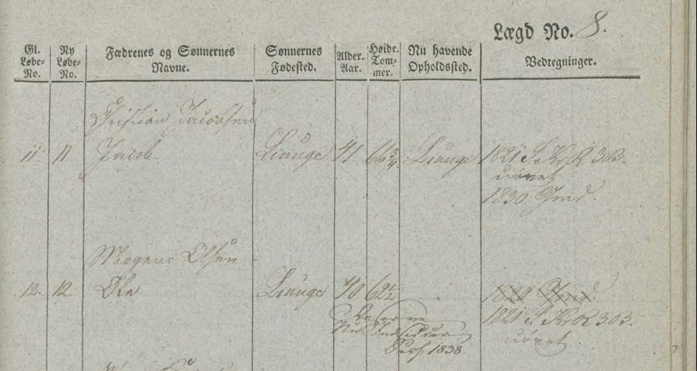 Snippet of 1838 military levying roll from the Sorø county, Denmark