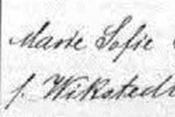 One of My Favorite Genealogy Finds: A Death Record